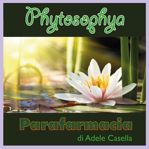 Phytosophya 